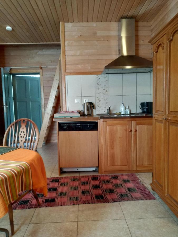 Guest House Pitagi Košrags エクステリア 写真